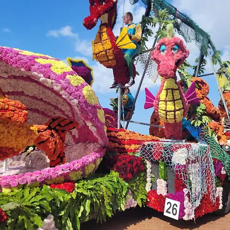 アパート Residentie Nausicaa ブランケンベルヘ