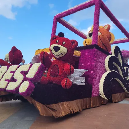 Residentie Nausicaa アパート ブランケンベルヘ